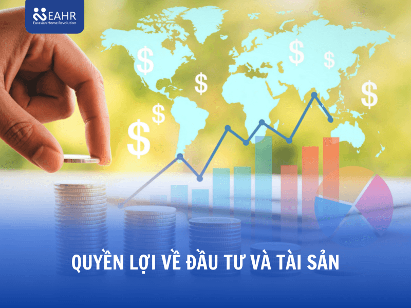 Quyền lợi về đầu tư và tài sản: Không chỉ để giữ thẻ