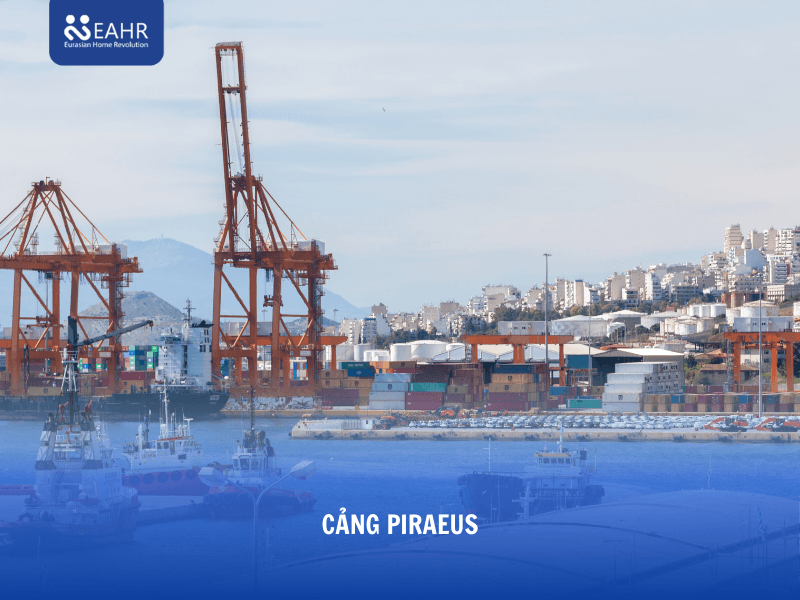 Năng lượng tái tạo và vị thế logistics chiến lược